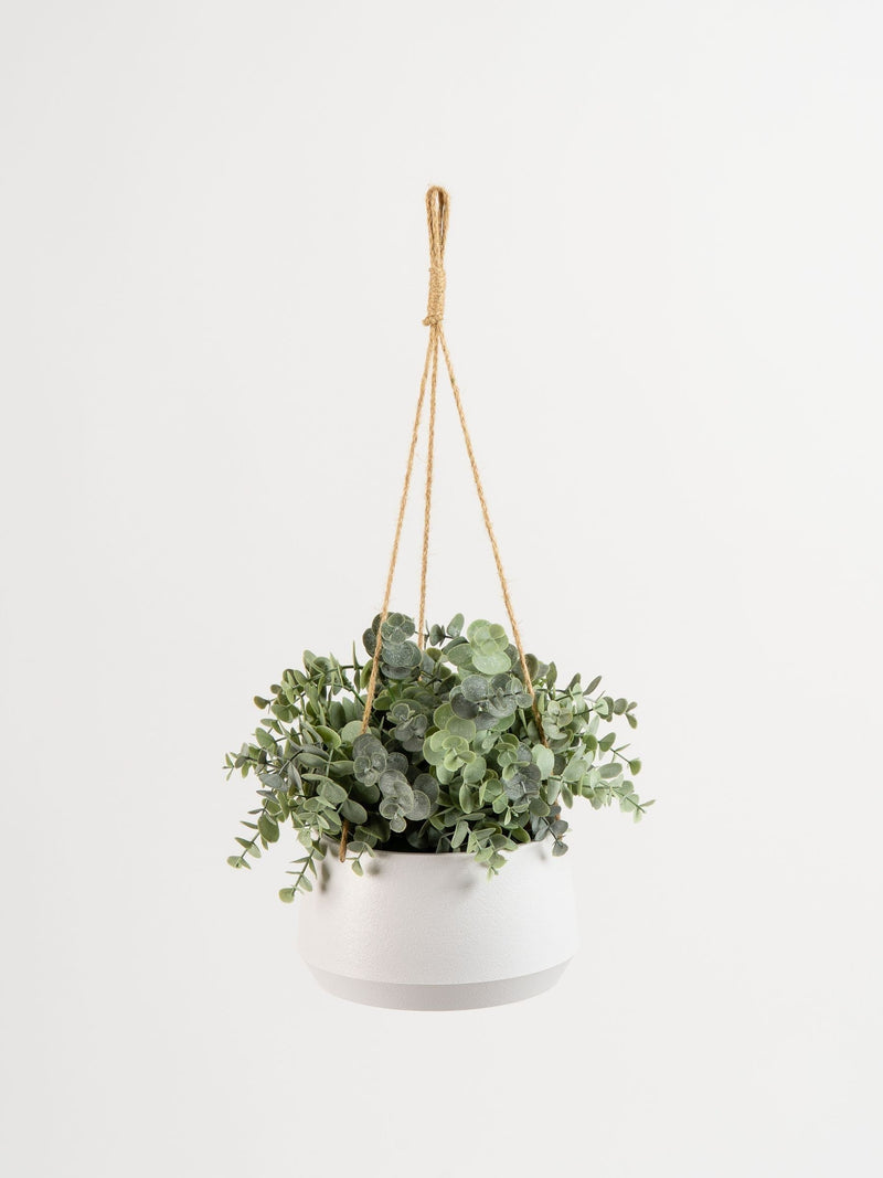 Scottish Everlastings faux hanging eucalyptus pot (British brand)