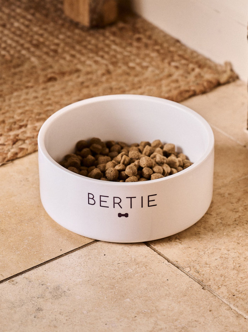 No Ordinary Gift personalised pet bowl bone pattern small, UK version