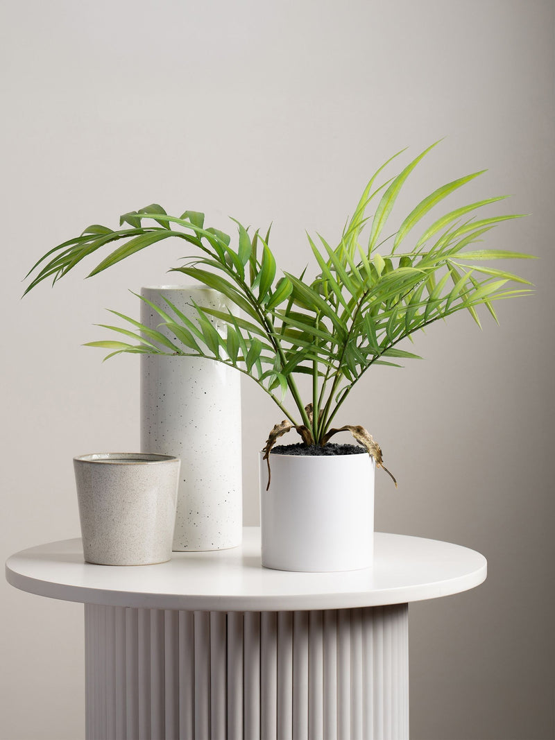 Scottish Everlastings artificial fern tree 40cm, imported from the UK