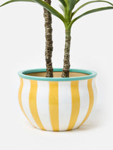 Next Oliver Bonas Large Yellow Striped Ceramic Plant Pot- Buy online at McGrocer