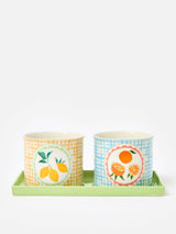 Next Oliver Bonas Set of 2 Blue Fruta Ceramic Plant Pots- Buy online at McGrocer