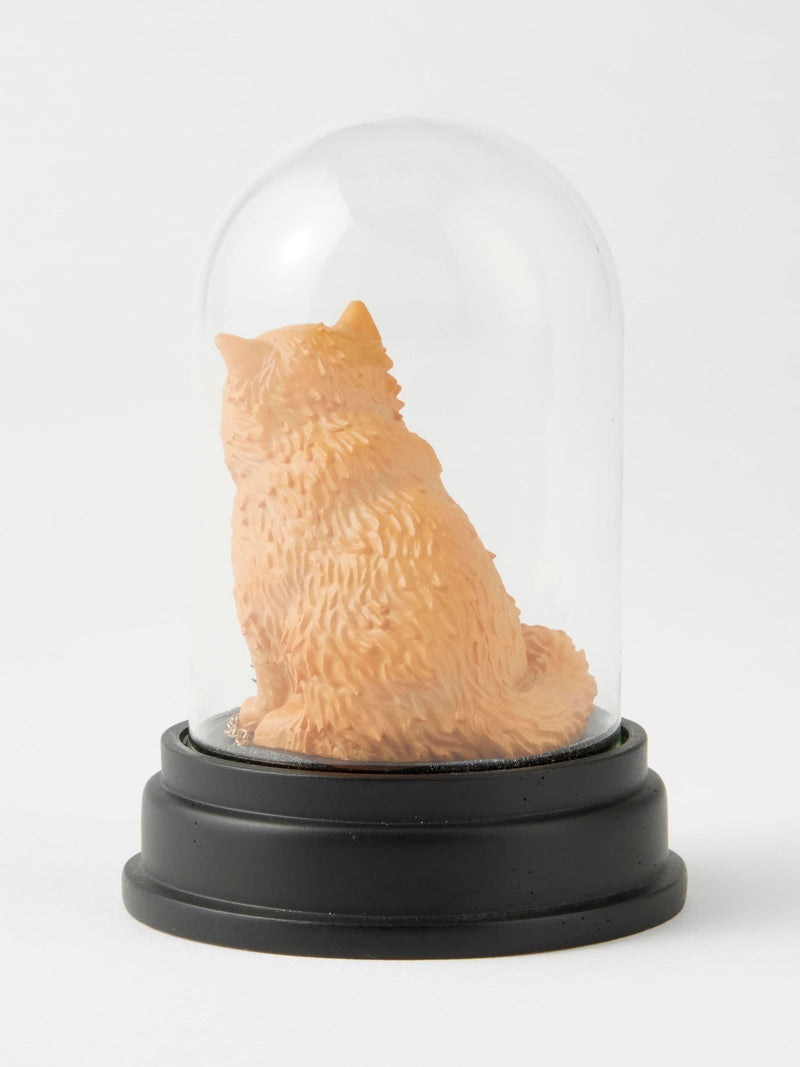 Harry Potter collectible Crookshanks Curiosity Cloche - British product