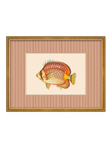 Next Brookpace Lascelles Red/Gold Tropical Fish Red Stripy Framed Wall Art 43cm x 33cm- Buy online at McGrocer