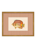 Brookpace Lascelles tropical fish wall art red striped 43x33cm - British product