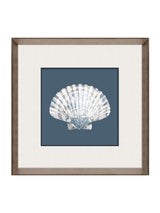 Next Brookpace Lascelles Blue/White Porcelain Scallop Shell Wall Art in Deep Frame 56cm x 56cm- Buy online at McGrocer