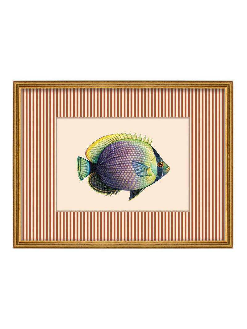 Brookpace Lascelles wall art tropical fish print 430x330mm, imported from the UK