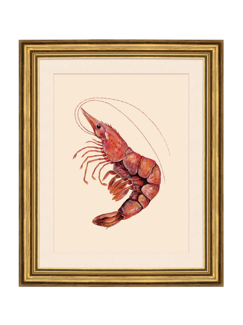 Brookpace Lascelles red shrimp wall art gold frame - British product