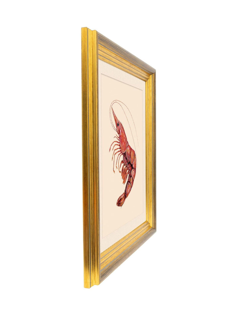 Brookpace Lascelles red shrimp wall art gold frame - British product