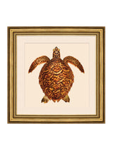 Next Brookpace Lascelles Brown/Gold Turtle 3' Coastal Wall Art- Buy online at McGrocer