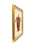 Brookpace Lascelles turtle coastal wall art 48cm (British brand)