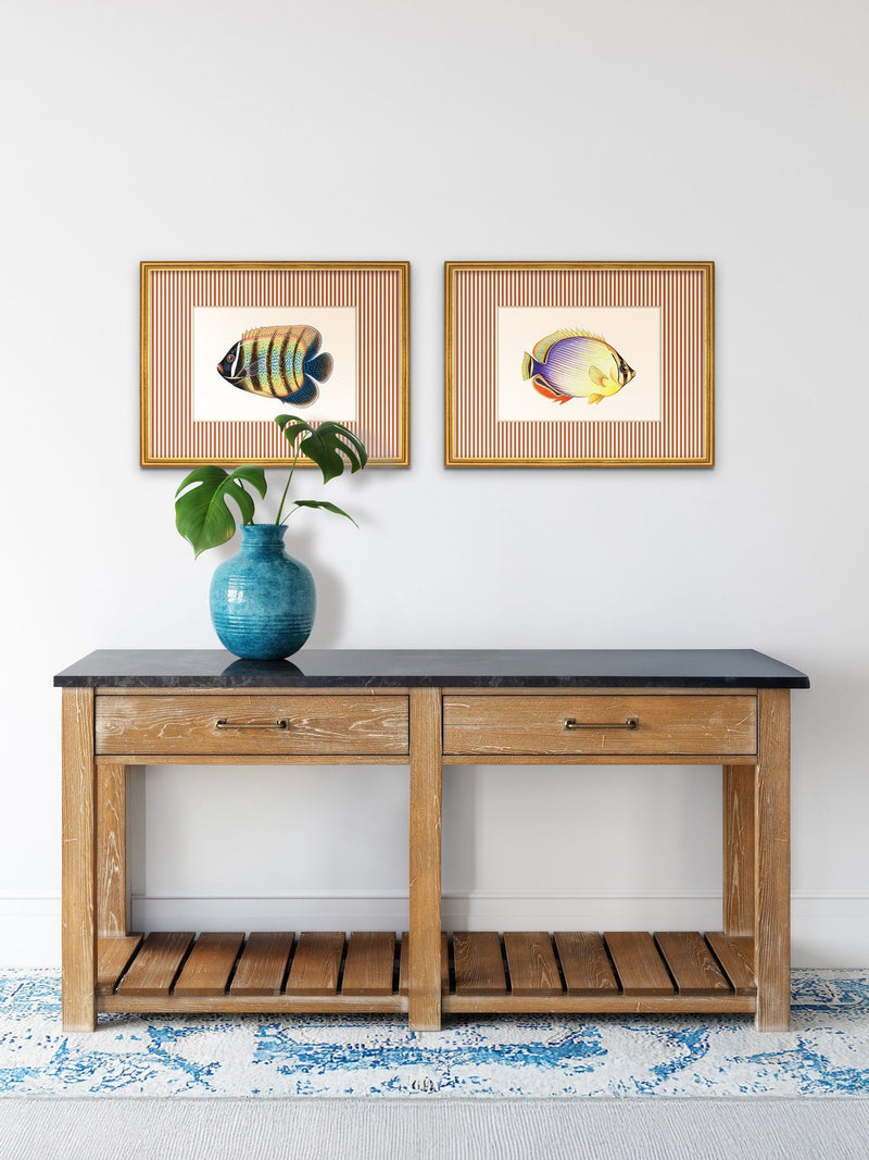 Brookpace Lascelles tropical fish wall art 43x33cm (British brand)