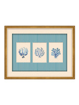 Next Brookpace Lascelles Blue/White Sealife Trio Striped Framed Print- Buy online at McGrocer