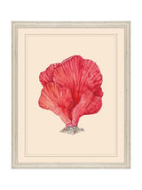 Next Brookpace Lascelles Red/White I Coastal Wall Art 55.5x45.5cm- Buy online at McGrocer