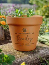 Next PMC Personalised Pet Memorial Terracotta Plant Pot- Buy online at McGrocer
