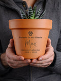 PMC personalised pet memorial terracotta pot, UK version