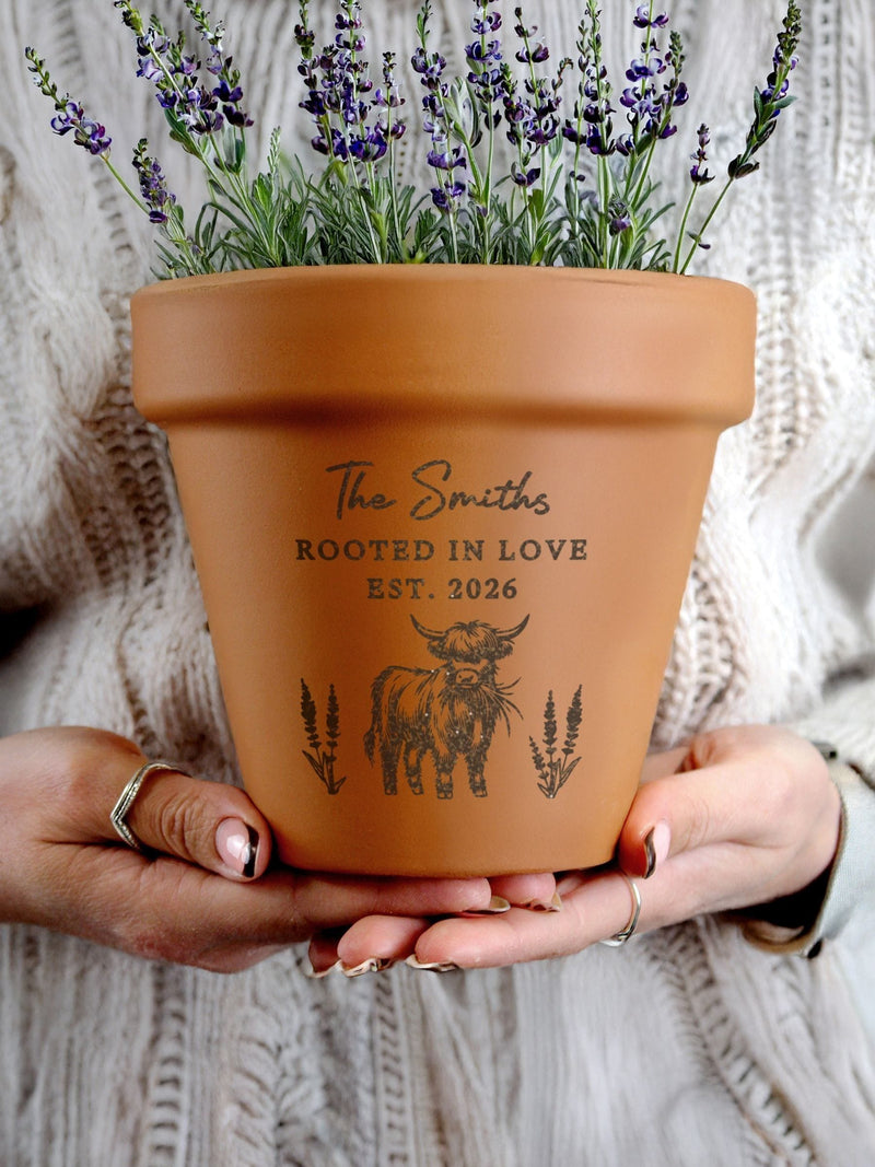 PMC Highland Cow terracotta plant pot 15cm, UK version