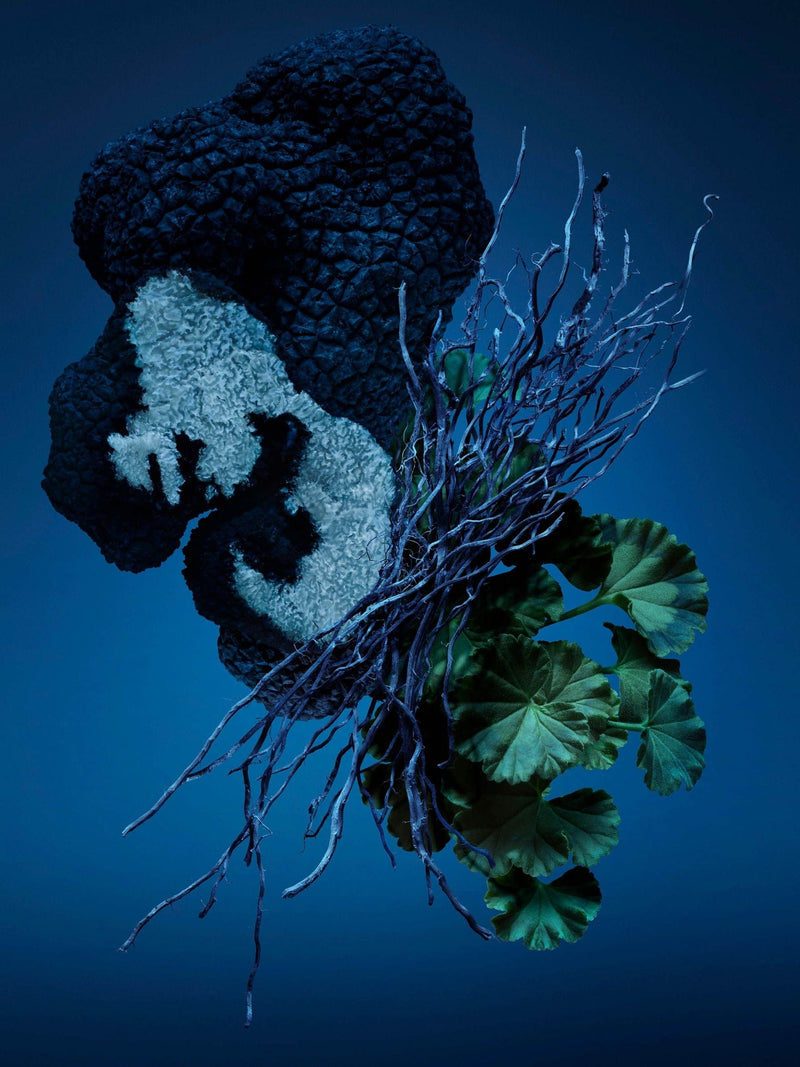 Carolina Herrera Bad Boy Cobalt deodorant stick 75g - British product