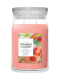Yankee Candle Starfruit Sunshine medium jar candle, UK version