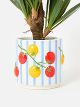 Next Oliver Bonas Blue Stripe Tomato Ceramic Plant Pot- Buy online at McGrocer