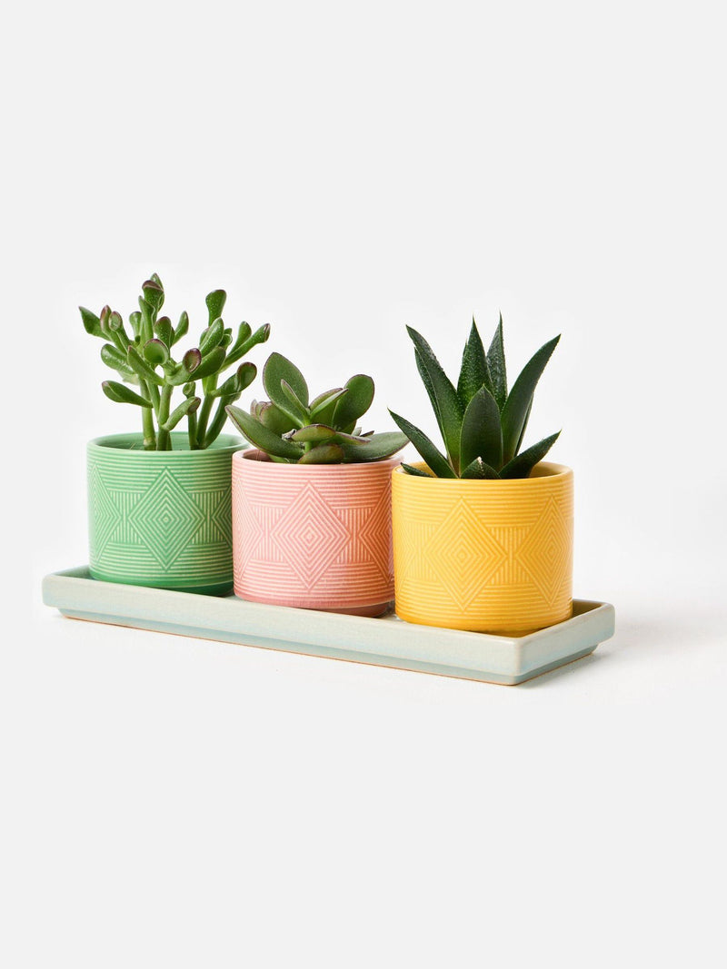 Oliver Bonas set of 3 ceramic plant pots 10cm, UK version