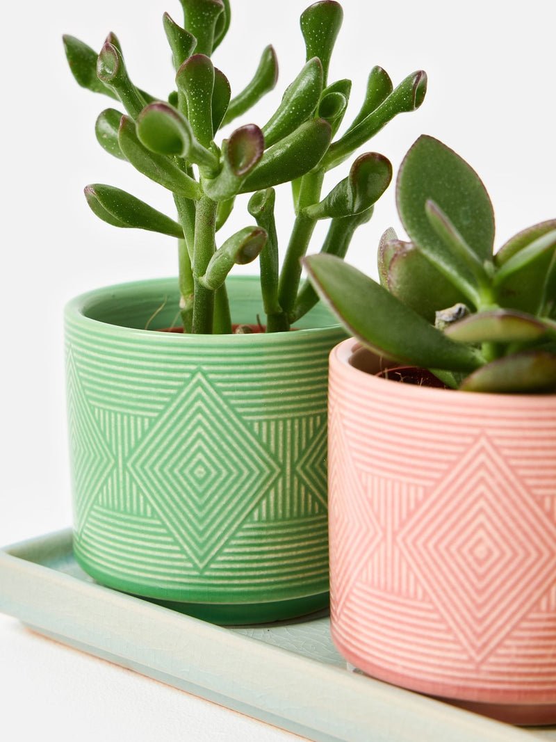 Oliver Bonas set of 3 ceramic plant pots 10cm, UK version