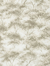 Next Clarke and Clarke Natural Elements Boschetto A4 Wallpaper Sample- Buy online at McGrocer