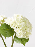 Pacific white faux hydrangea pack of 3 (British brand)