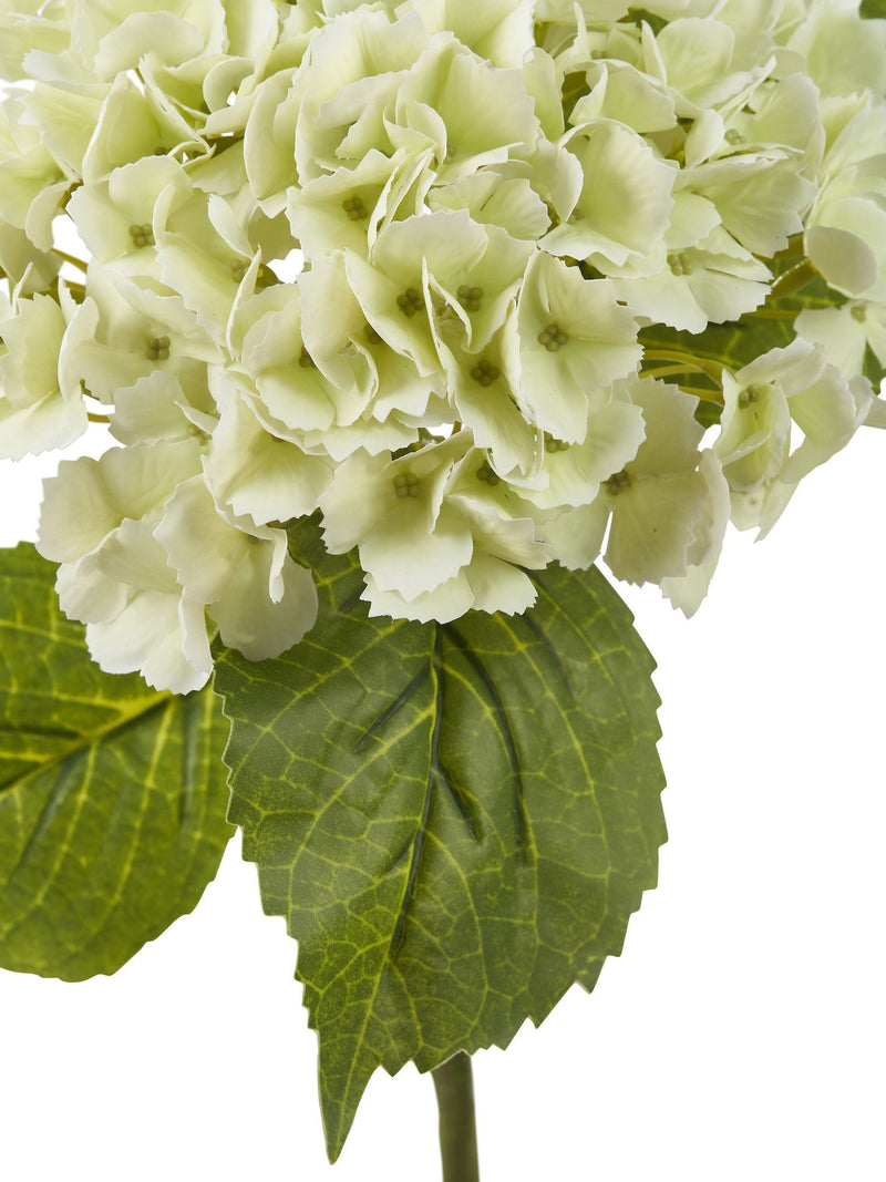 Pacific white faux hydrangea pack of 3 (British brand)