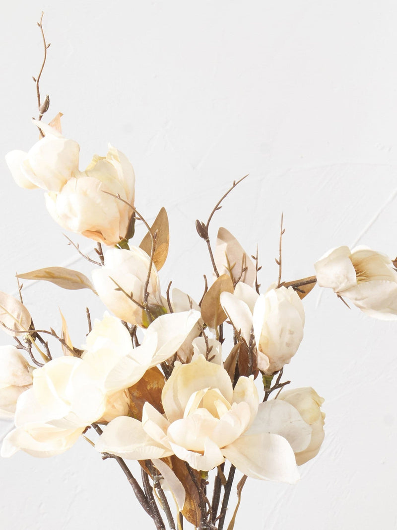 Faux magnolia stems cream pack of six 95cm (British brand)