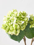 Green hydrangea stems pack of 3 artificial flowers, imported from the UK
