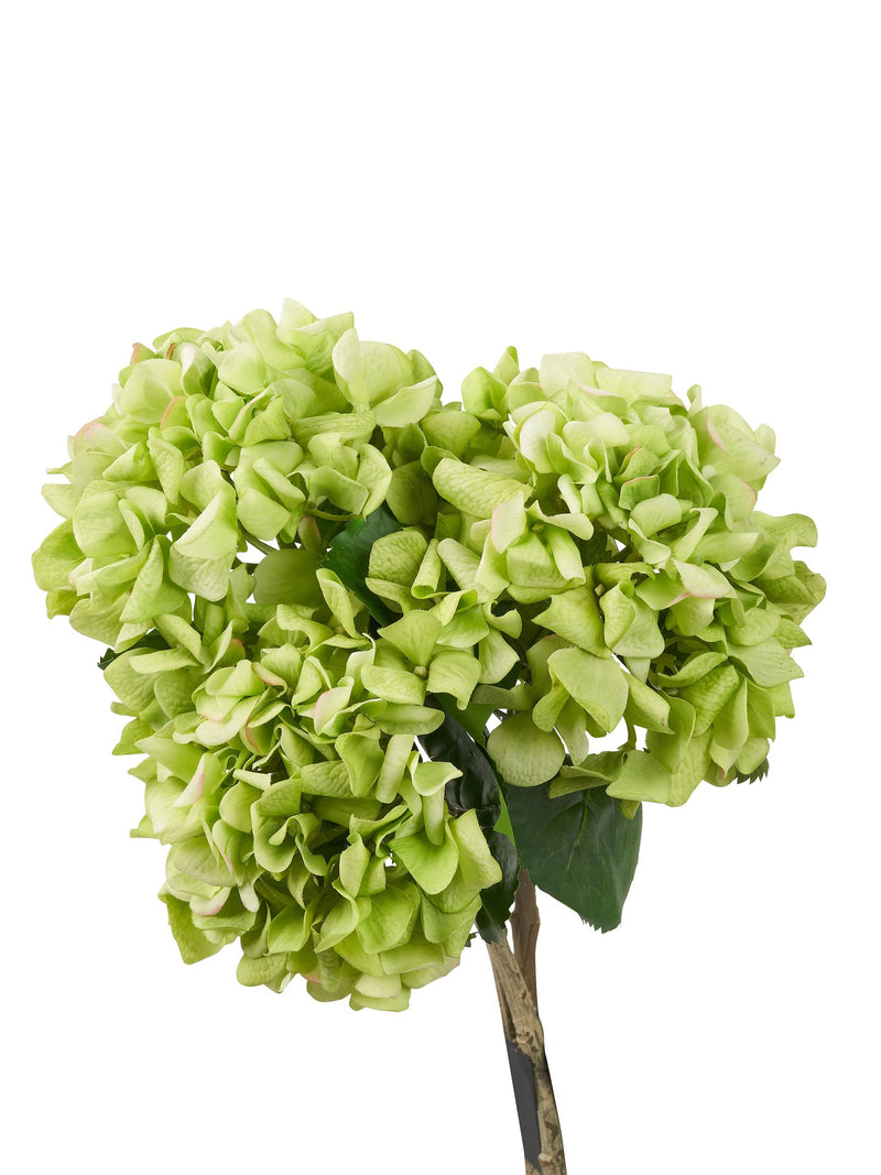 Pacific artificial green hydrangea pack of 6, imported from the UK
