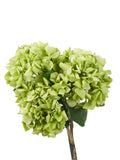 Pacific artificial green hydrangea pack of 6, imported from the UK