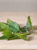 Pacific Green faux hydrangea leaf stems pack of 6 - British product