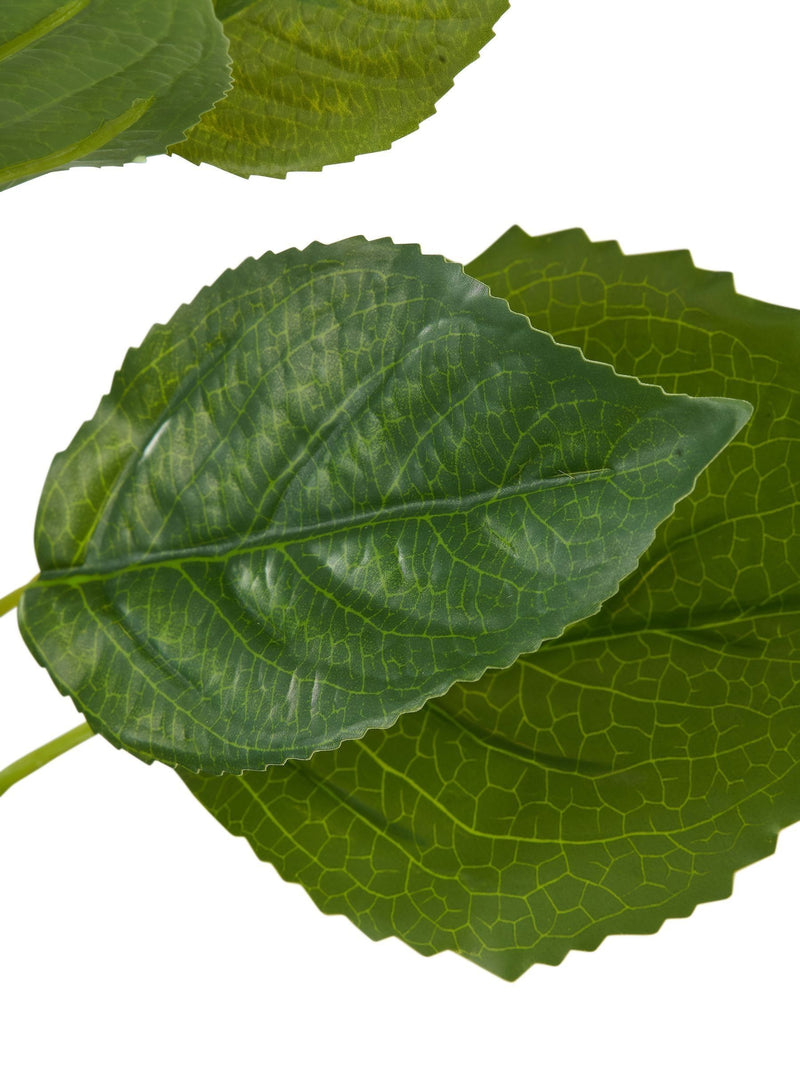 Pacific Green faux hydrangea leaf stems pack of 6 - British product