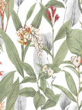 Graham & Brown Powder Botanical A4 wallpaper sample, UK version