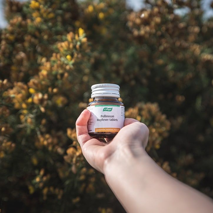 A.Vogel Pollinosan HayFever Tablets - McGrocer