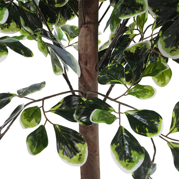 Livingandhome Artificial Zamioculcas Decorative Plant 185cm, UK version