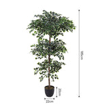 Livingandhome Artificial Zamioculcas Decorative Plant 185cm, UK version