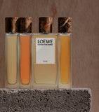 LOEWE Un Paseo Por Madrid Doré Eau de Parfum 100ml (British brand)