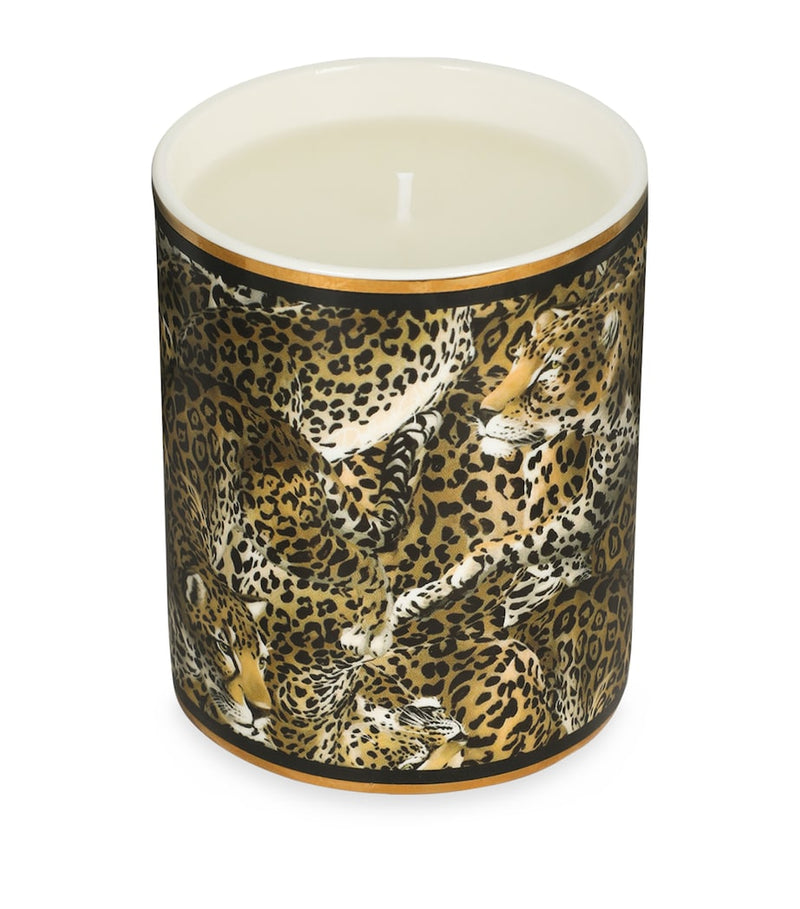 Dolce&Gabbana patchouli scented candle 340g - British product
