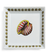 Harrods Fornasetti Square Giro di Conchiglie Porcelain Plate 20cm x 20cm- Buy online at McGrocer
