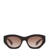 Harrods Chloé Acetate CH0220S Sunglasses- Buy online at McGrocer