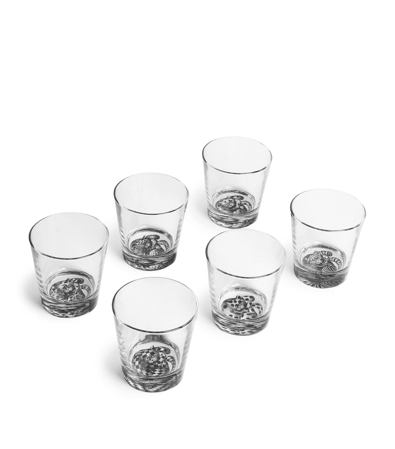 Fornasetti High Fidelity Tumblers set of 6 - British product