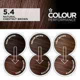Superdrug Colour Performance Natural Chestnut Brown Hair Dye (British brand)