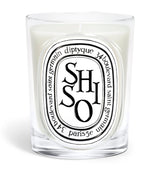 Harrods Diptyque Shiso Candle 190g- Buy online at McGrocer