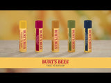 Burt's Bees Lip Balm Pomegranate 4.25g - British product