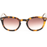 Belstaff Grasmere sunglasses brown acetate frame (British brand)