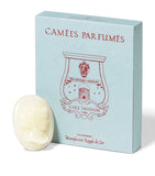 Trudon Abd El Kader wax melts (British brand)