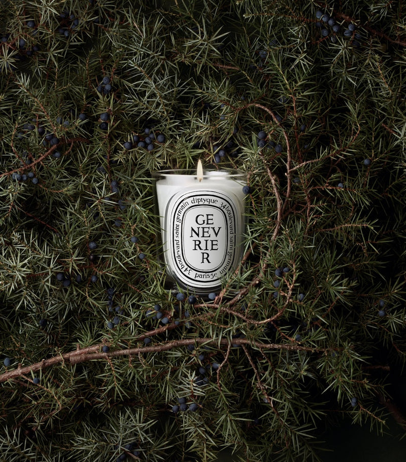 Diptyque Genevrier aromatic candle 190g (British brand)