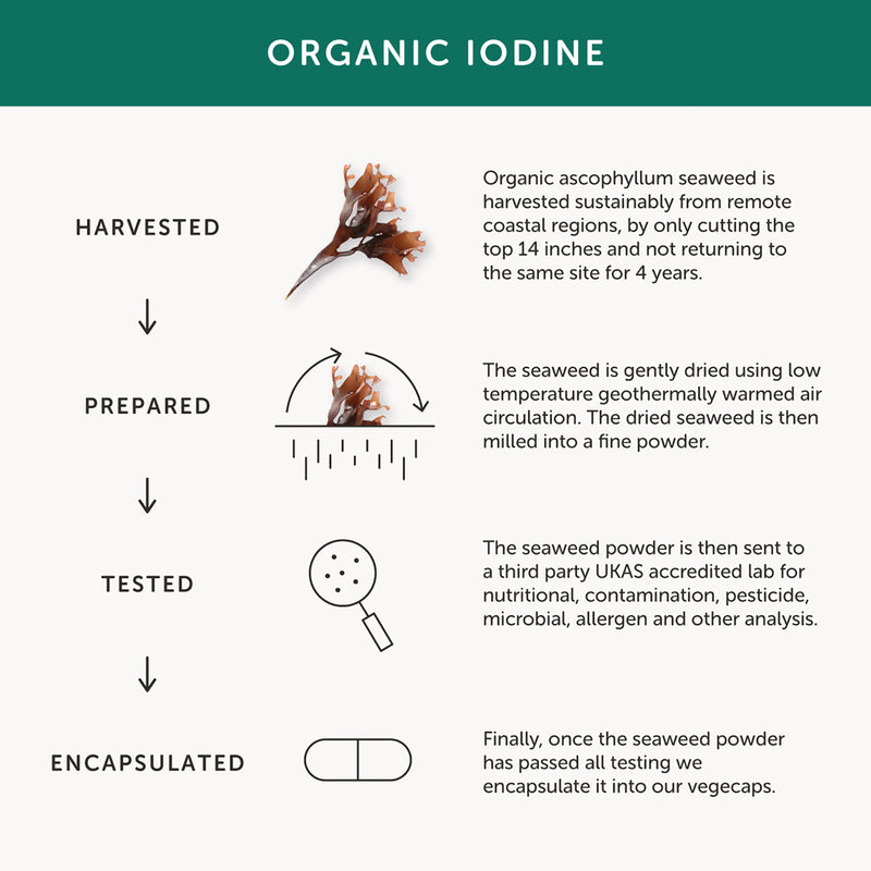 Together Health Organic Iodine supplement 30 capsules - British product